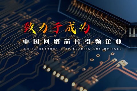 南京华芯科晟VI设计、LOGO设计、PPT设计